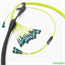 MPO Custom Cable